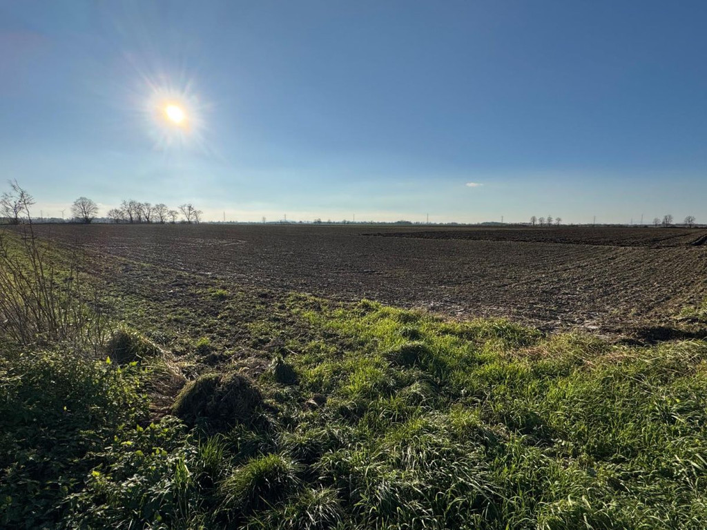 Land Plot for sale, dolnośląskie oławski (Oława, Poland)