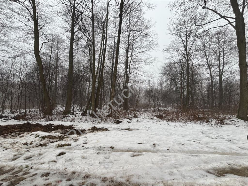 Land Plot for sale, mazowieckie grodziski (Grodzisk Mazowiecki, Poland)