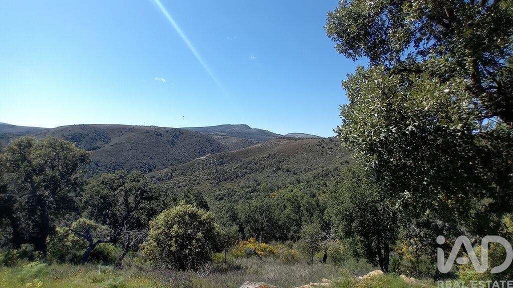 Agricultural Land in Mós