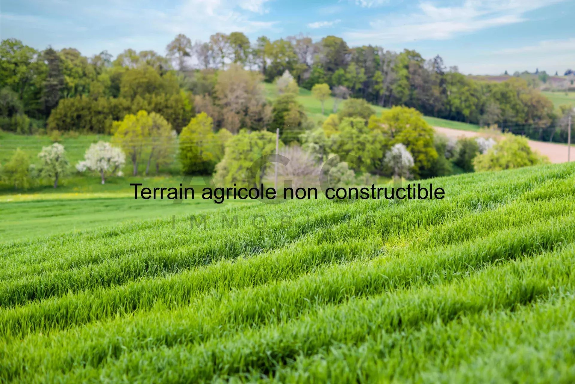 Non-building agricultural land with hut and panoramic view of Geneva