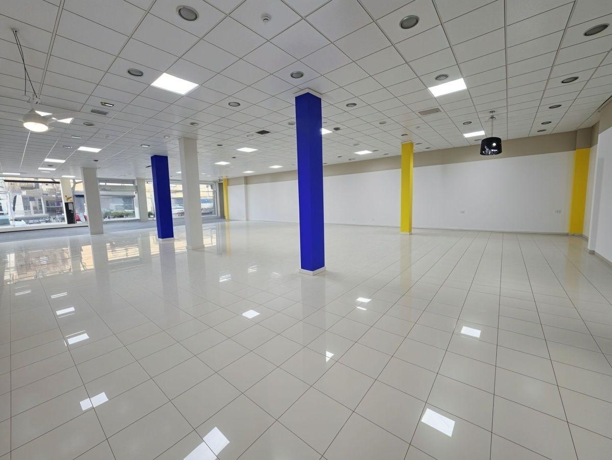LARGE PREMISES STRATEGIC AREA