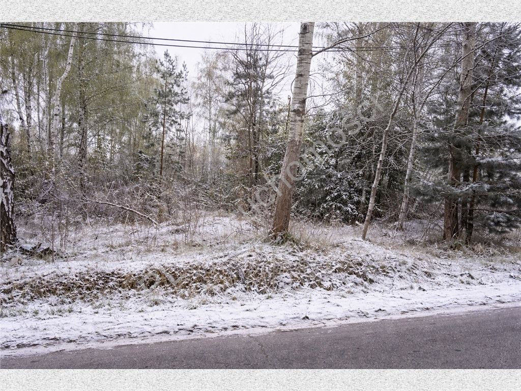 Land Plot for sale, mazowieckie grodziski (Żabia Wola, Poland)