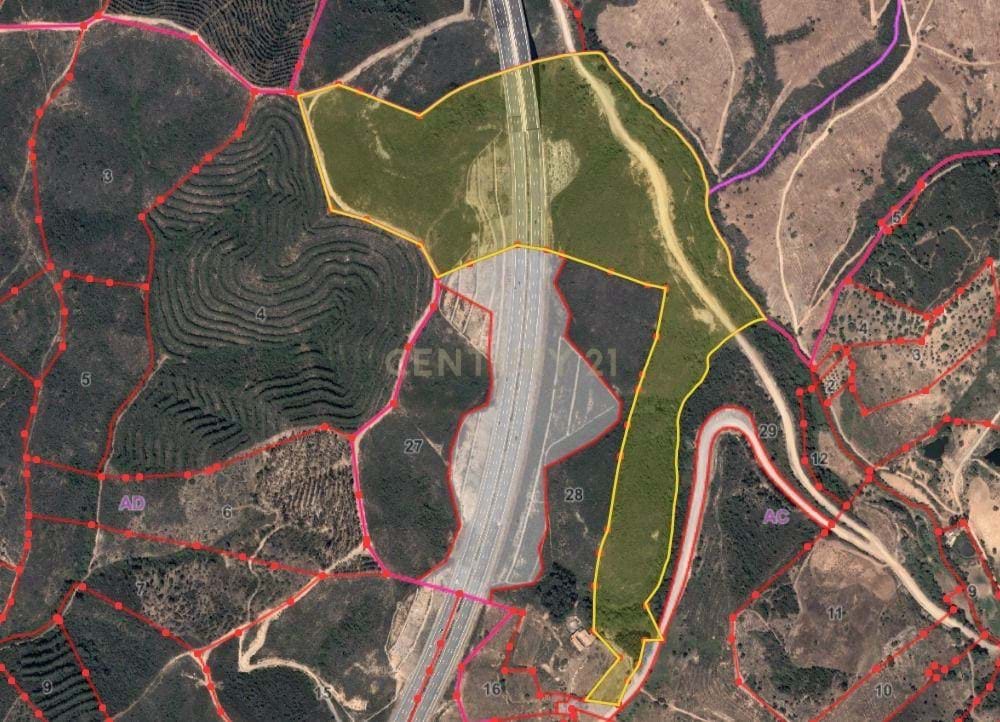 Rustic land of 112,000m2 in Ladeiras - S. Bartolomeu de Messines - Silves