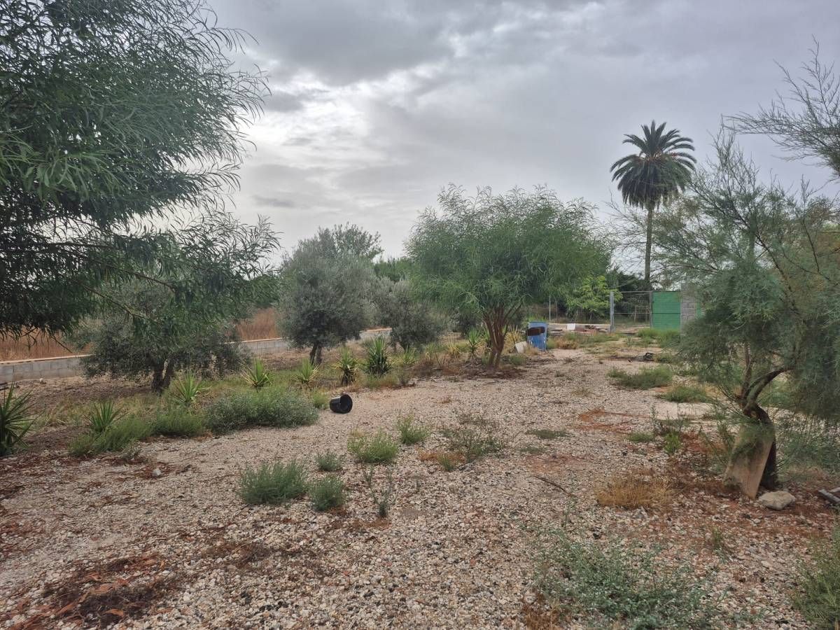 Land Plot for sale in Catral, Spain