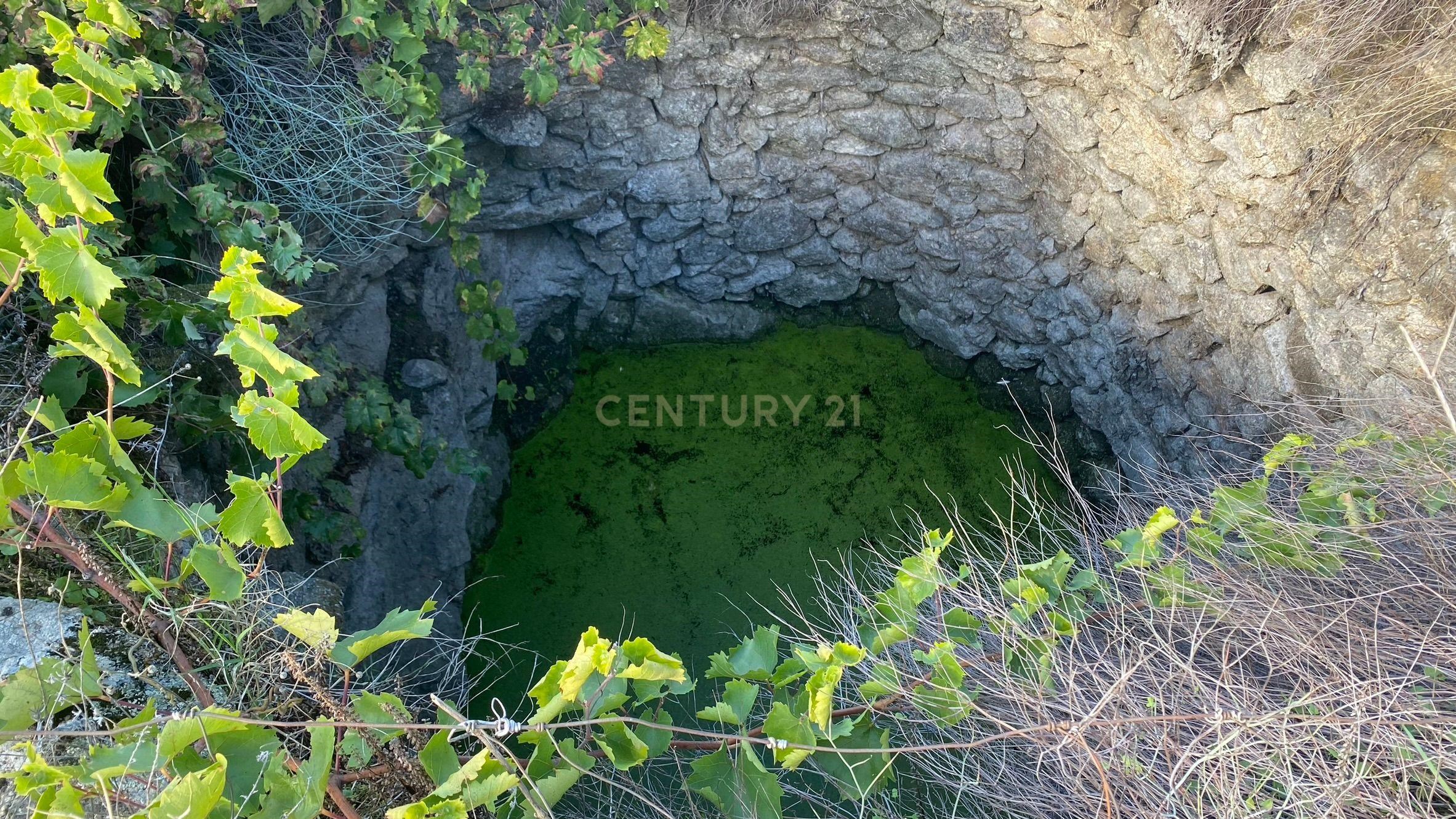Small farm in Castelo Branco