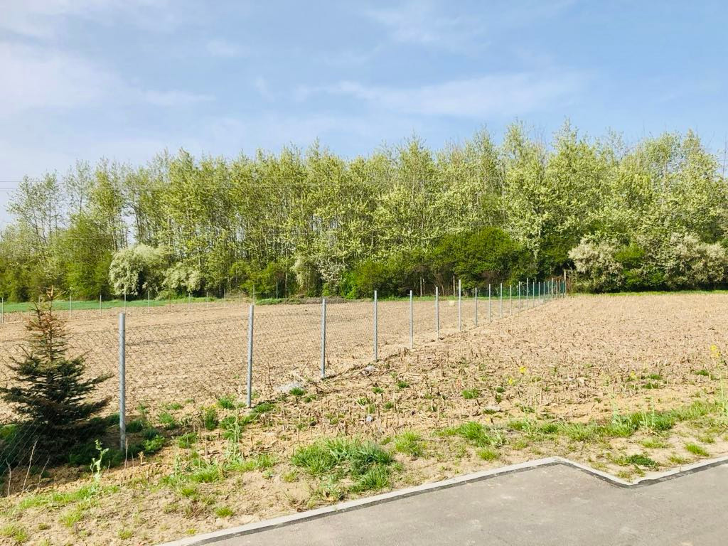 Land Plot for sale, dolnośląskie oleśnicki (Olesnica, Poland)