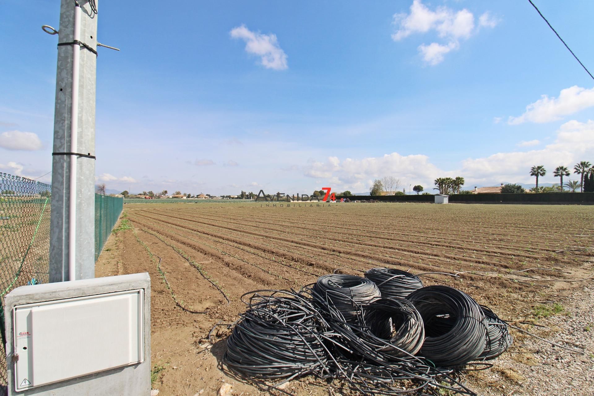 Land Plot for sale in Lorca, Spain