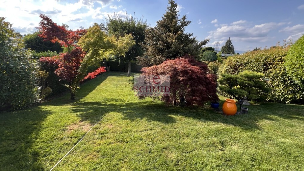 Charming single-storey house with manicured garden