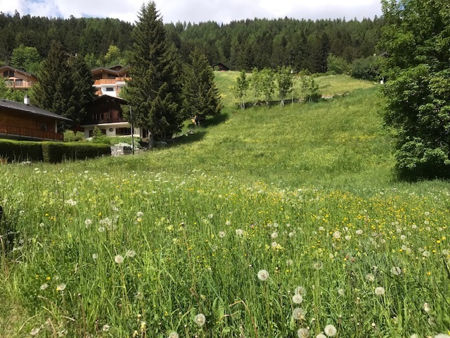 Magnificent plot in the heart of the village