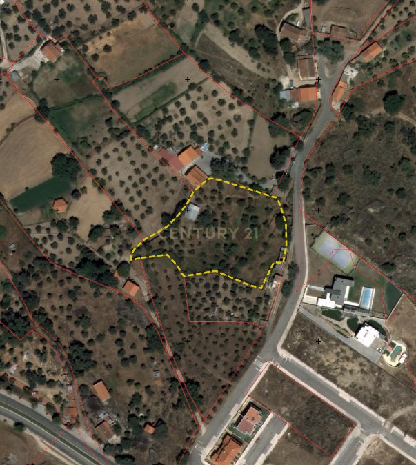 Land with 5000m2 with possibility of construction, Castelo Branco