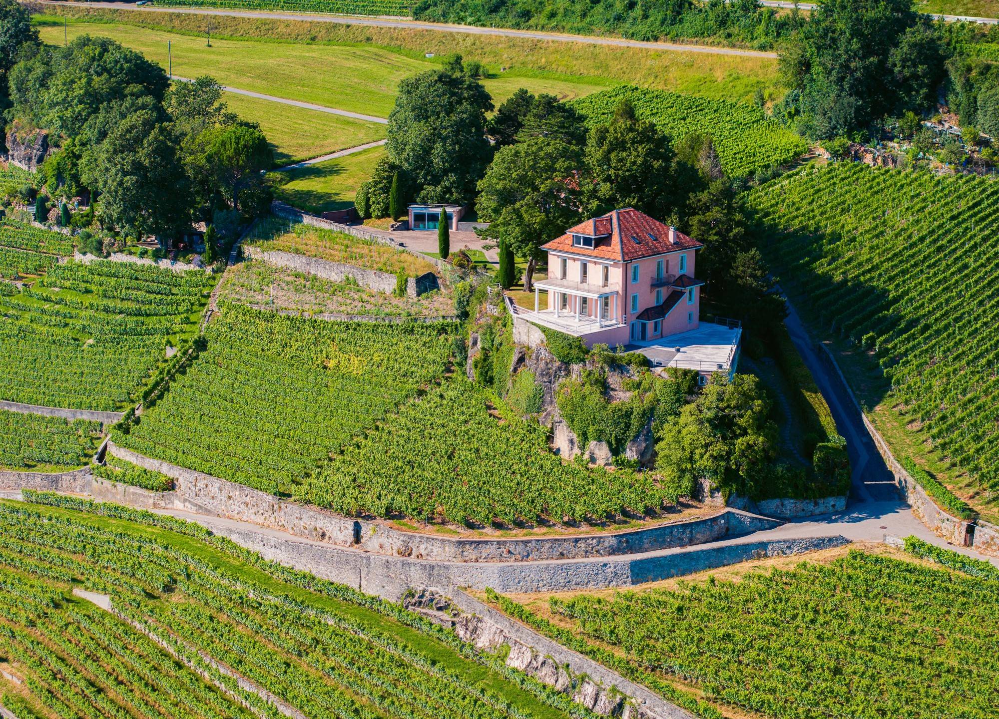 COLLECTIBLE PROPERTY