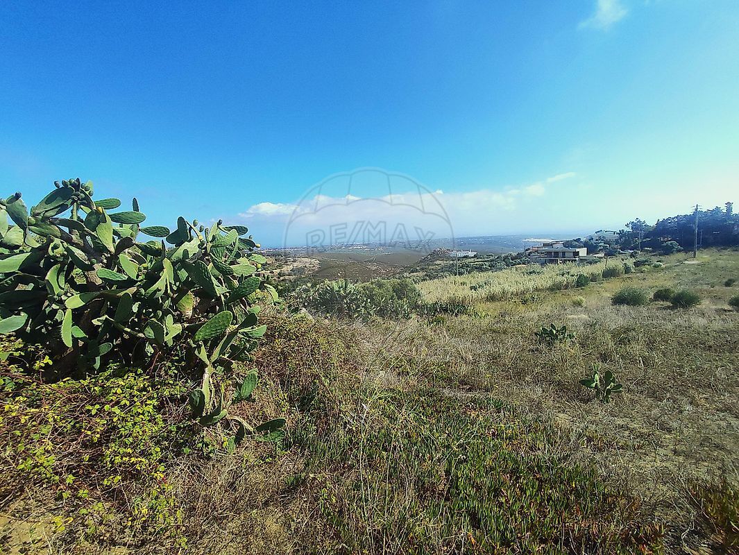 Land Plot for sale in Alcabideche, Portugal