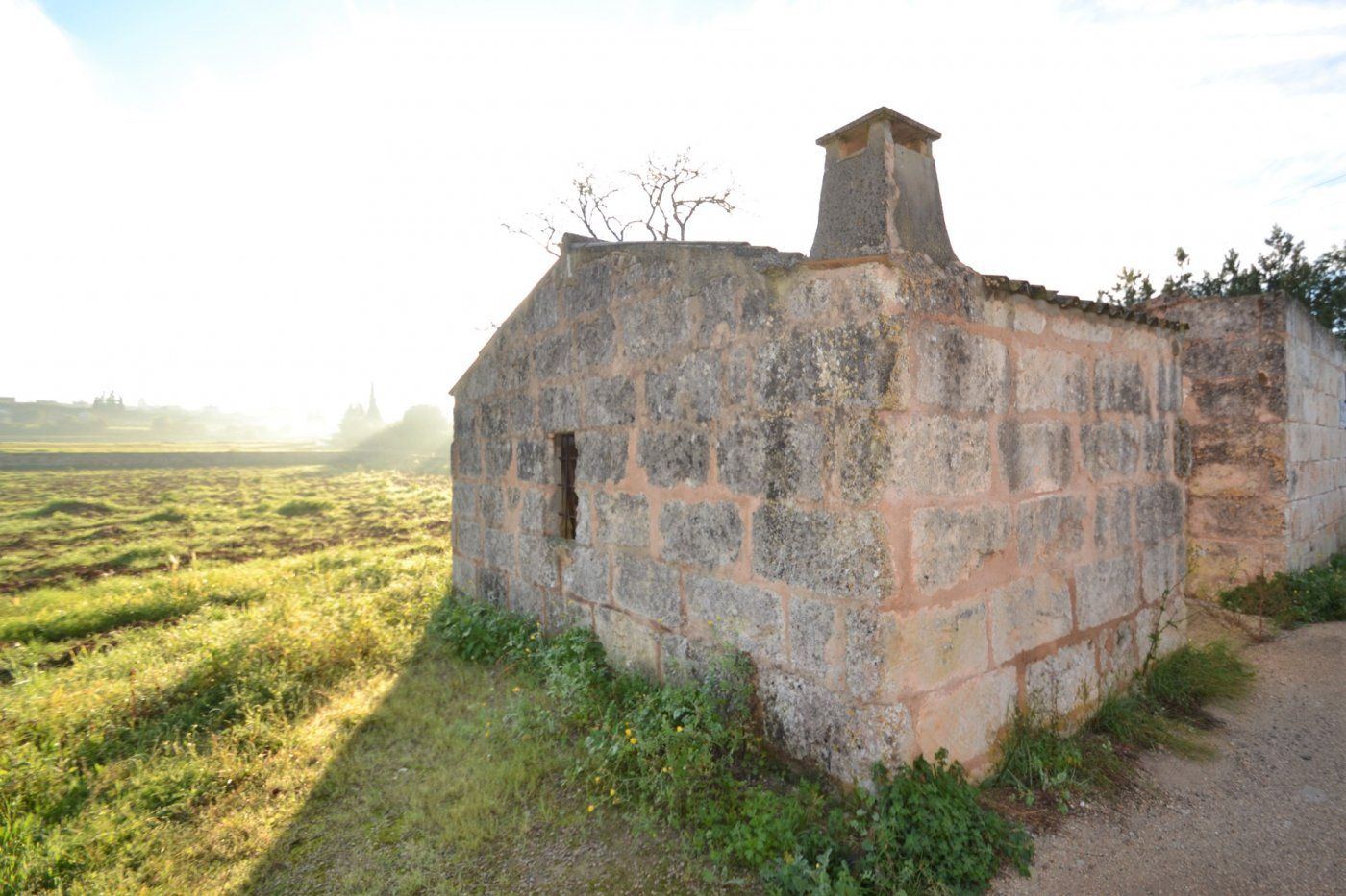 Land Plot for sale in Muro, Spain