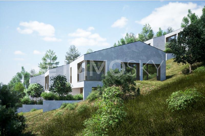 Panoramic view of the Alps (Lot F)