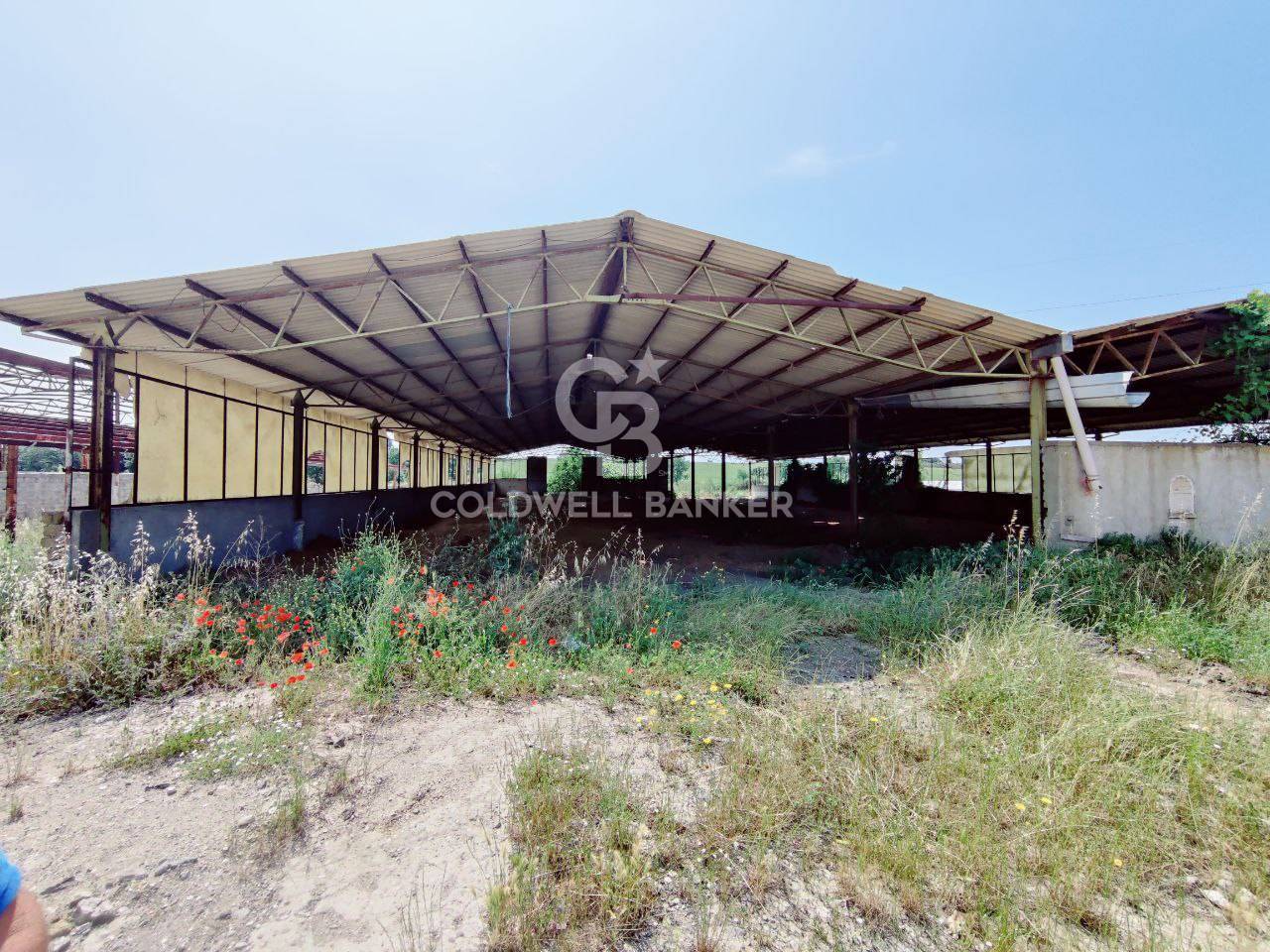 Building for sale, Località Sanguinaro,snc (Montalto di Castro, Italy)