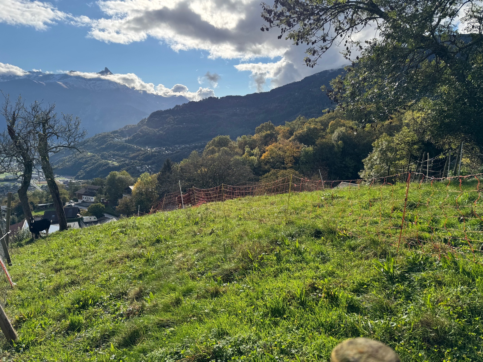 Plot of land / Les Neyres / Free of mandate / EXCLUSIVITY