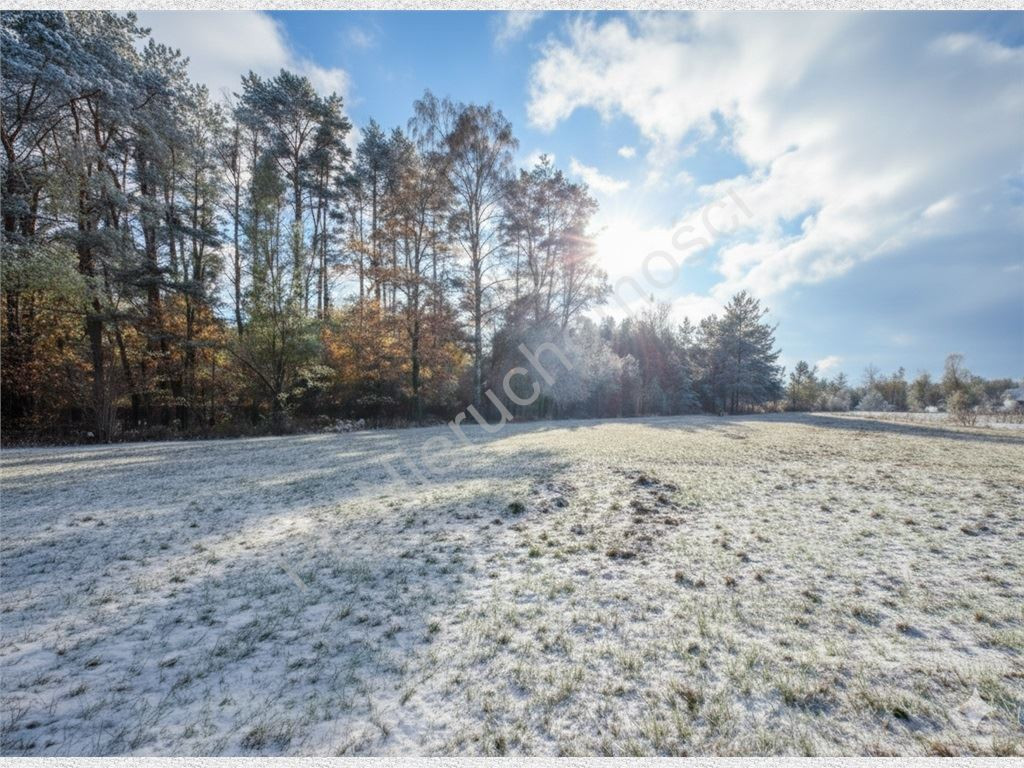 Land Plot for sale, mazowieckie grodziski (Żabia Wola, Poland)