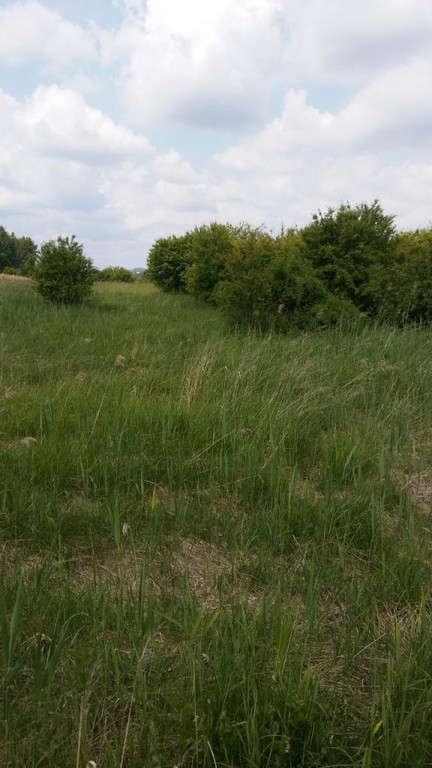 Land Plot for sale, śląskie, Załogi (Częstochowa, Poland)