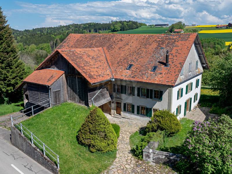 Atypical villa - Moudon