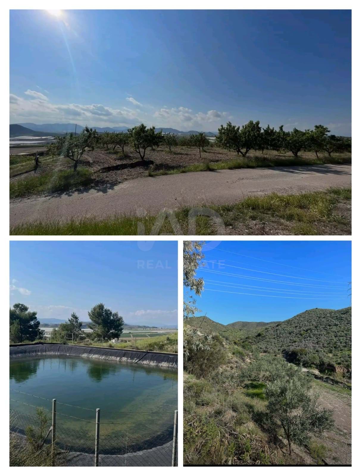 Tierra agrícola - 38740 m2