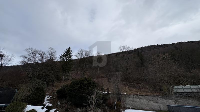 POTENTIAL IN THE HEART OF SONVILIER