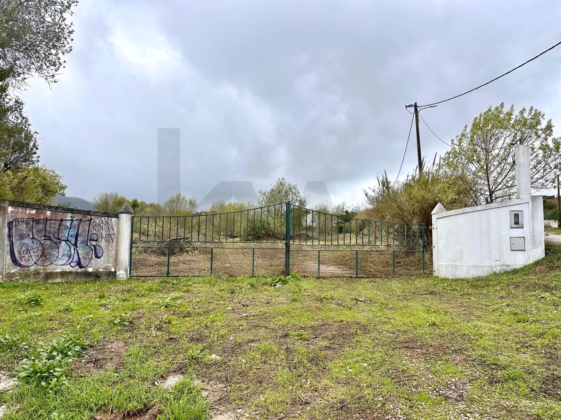 JJJJJJJJJJJJJJJJJJJJJJJJJJJJJJJJ