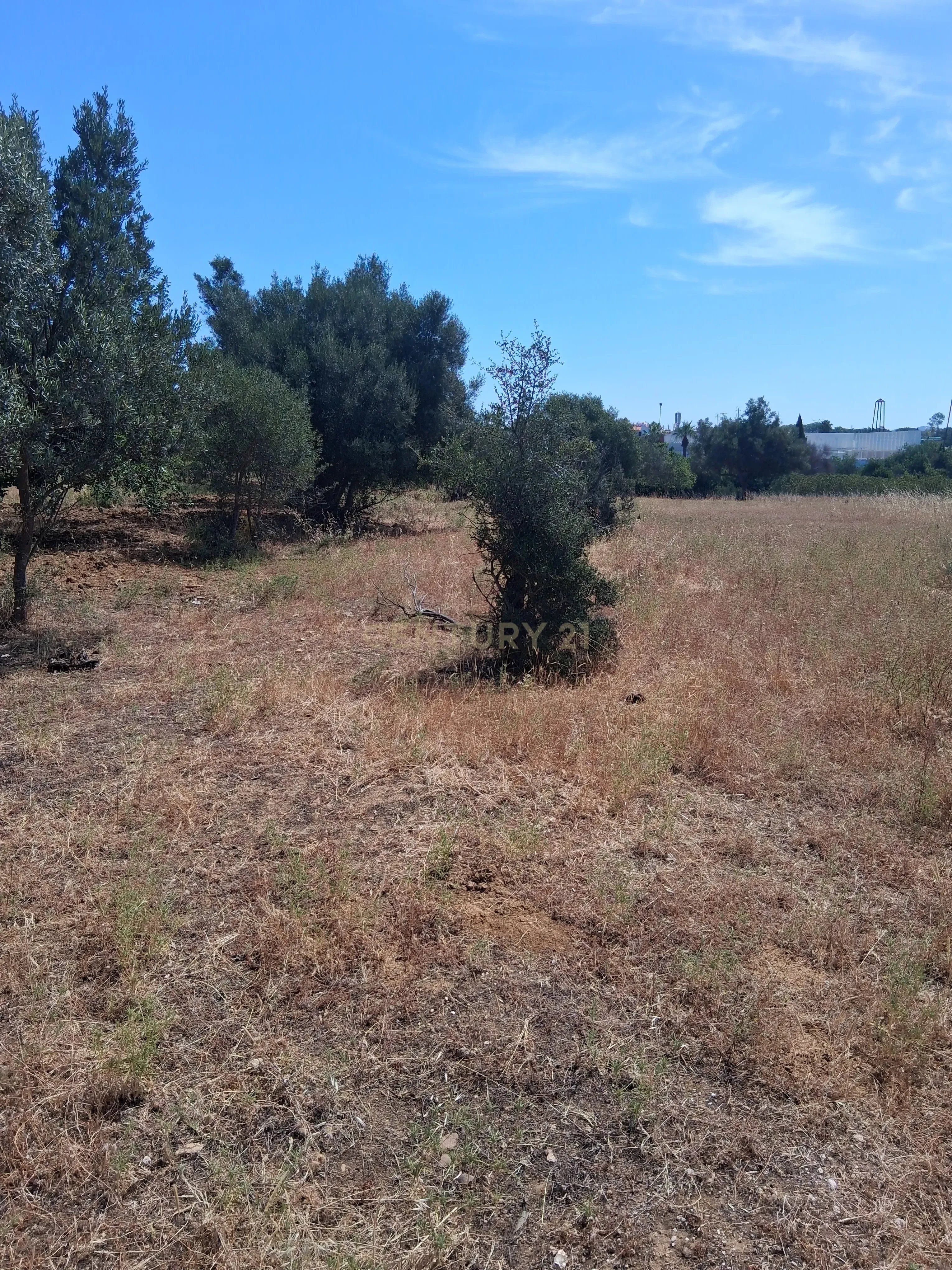 Rustic land with 2170m², in Boliqueime.