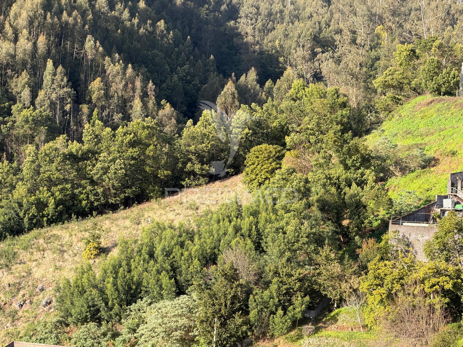 Land for a Rural Tourism project, bungalows.