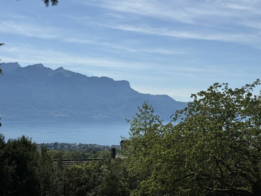 Last Plot for Sale - Permit in Force