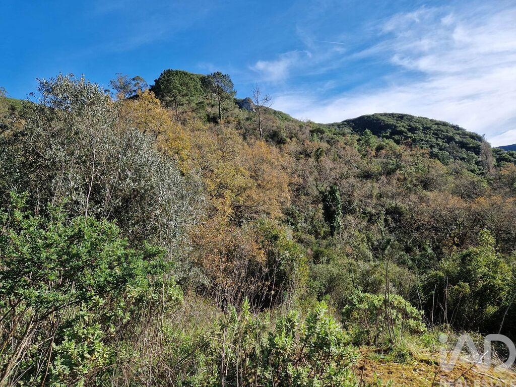 Miscellaneous commerce in Porto de Mós - São João Baptista e São Pedro of 105.00 m²