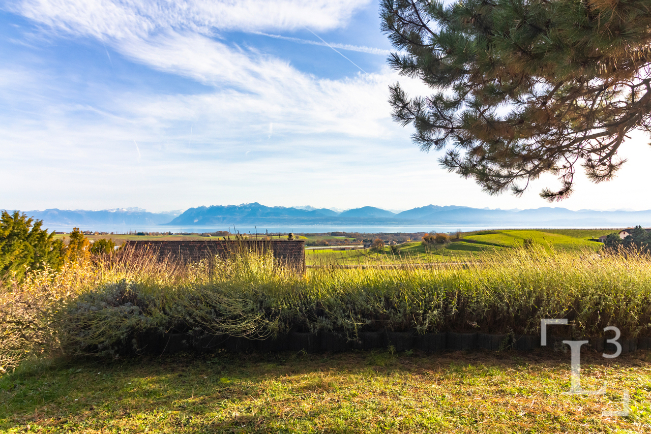 Panoramic lake view! Spacious detached villa