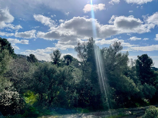 Condo for sale in Toulon, France