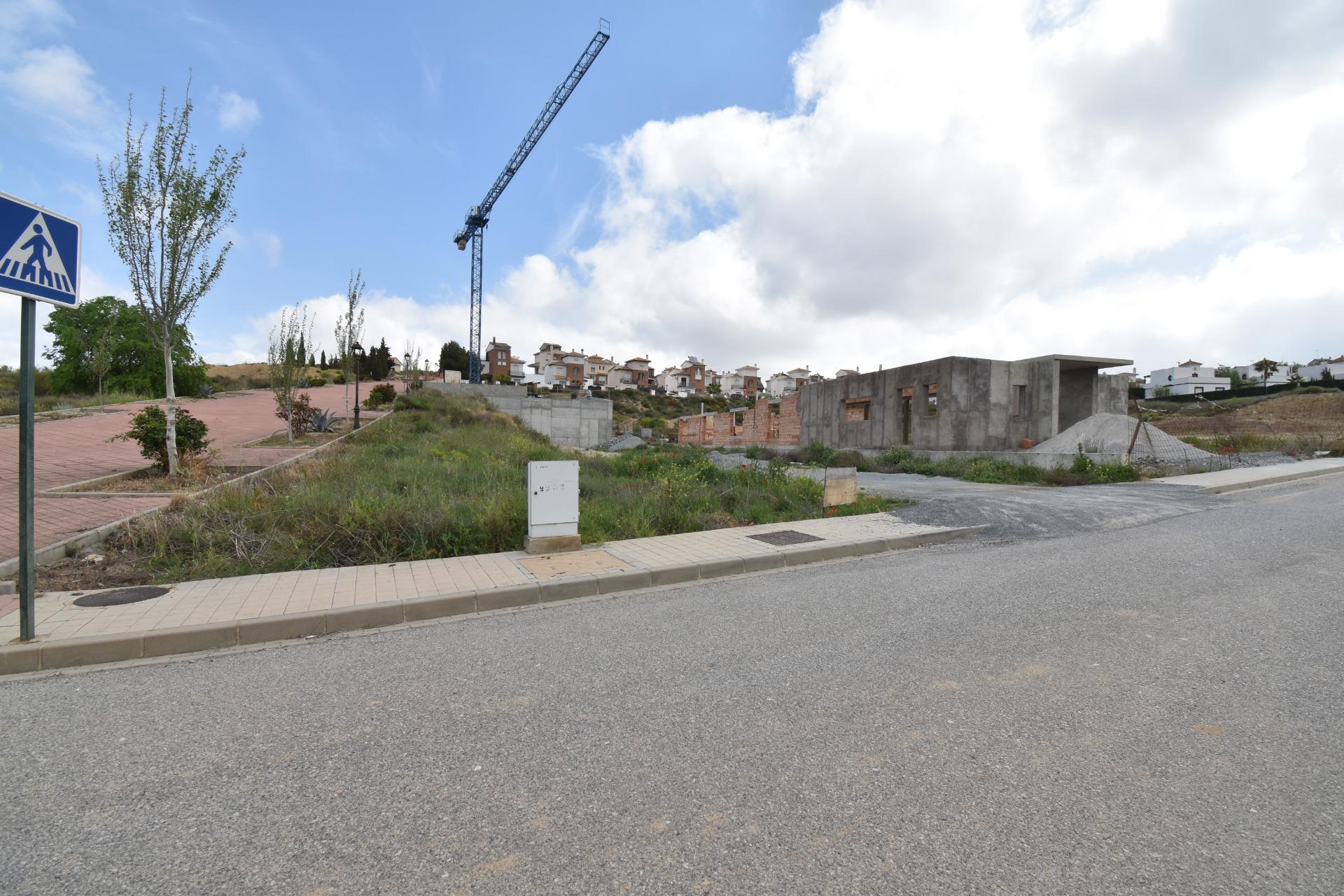 Magnificent plot in Cañadas del Parque