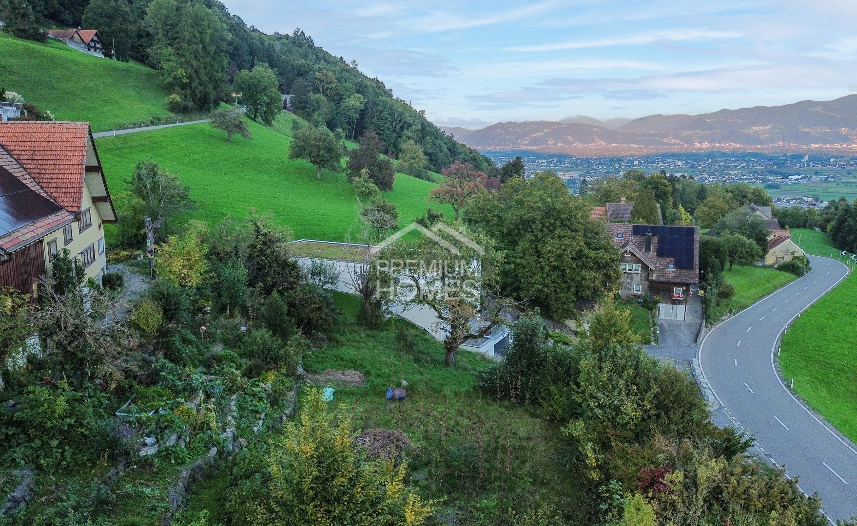 Make your dreams come true