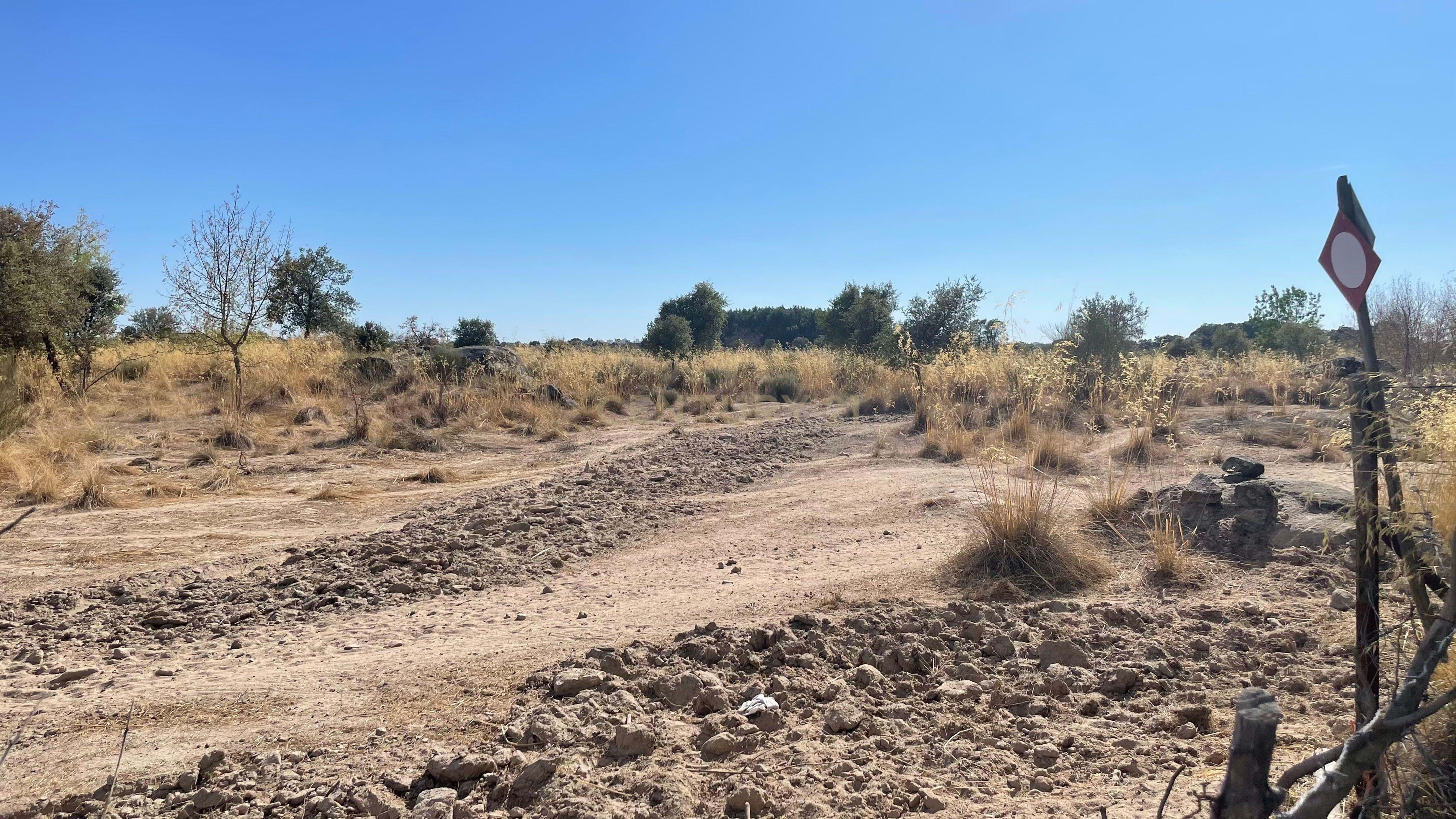Rustic Land for Sale in Castelo Branco, Portugal