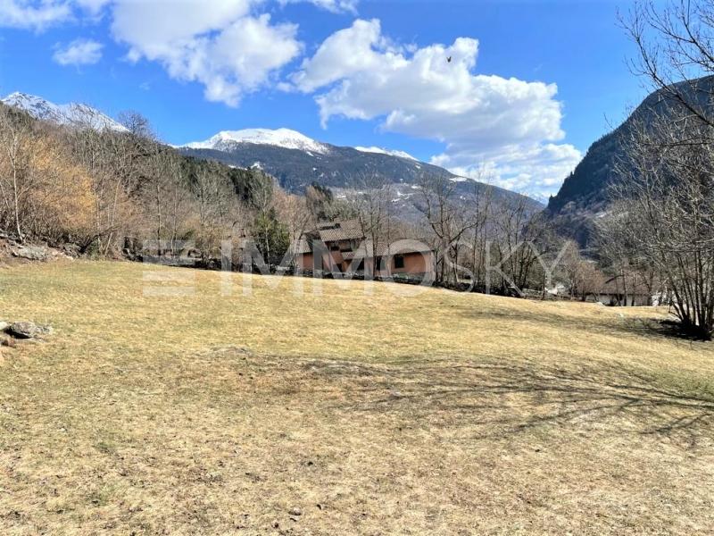 Working on the new project