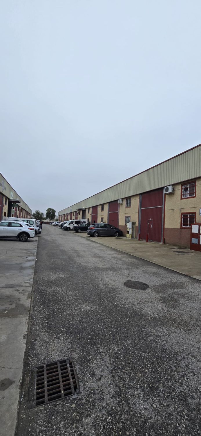 Industrial Warehouse for sale in Cadiz