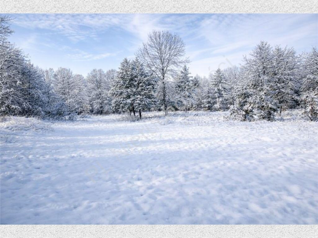 Land Plot for sale, mazowieckie grodziski (Grodzisk Mazowiecki, Poland)