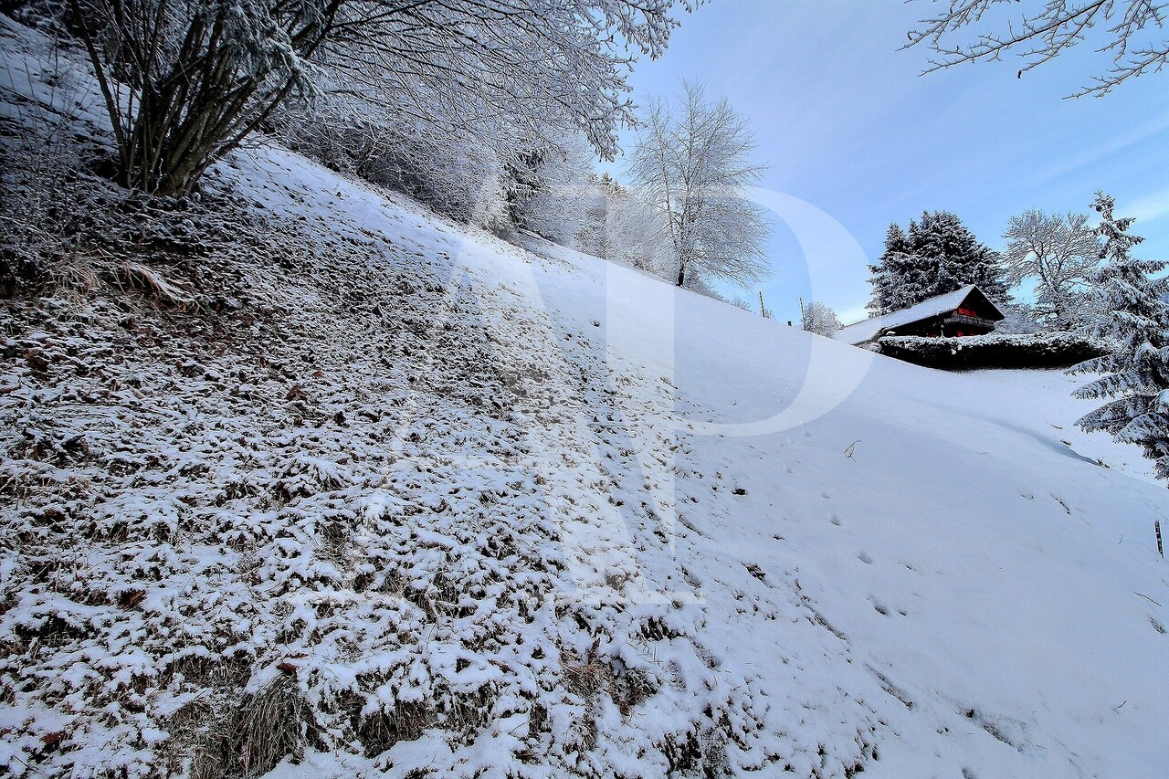 A SALE LAND IN CHAMPERY