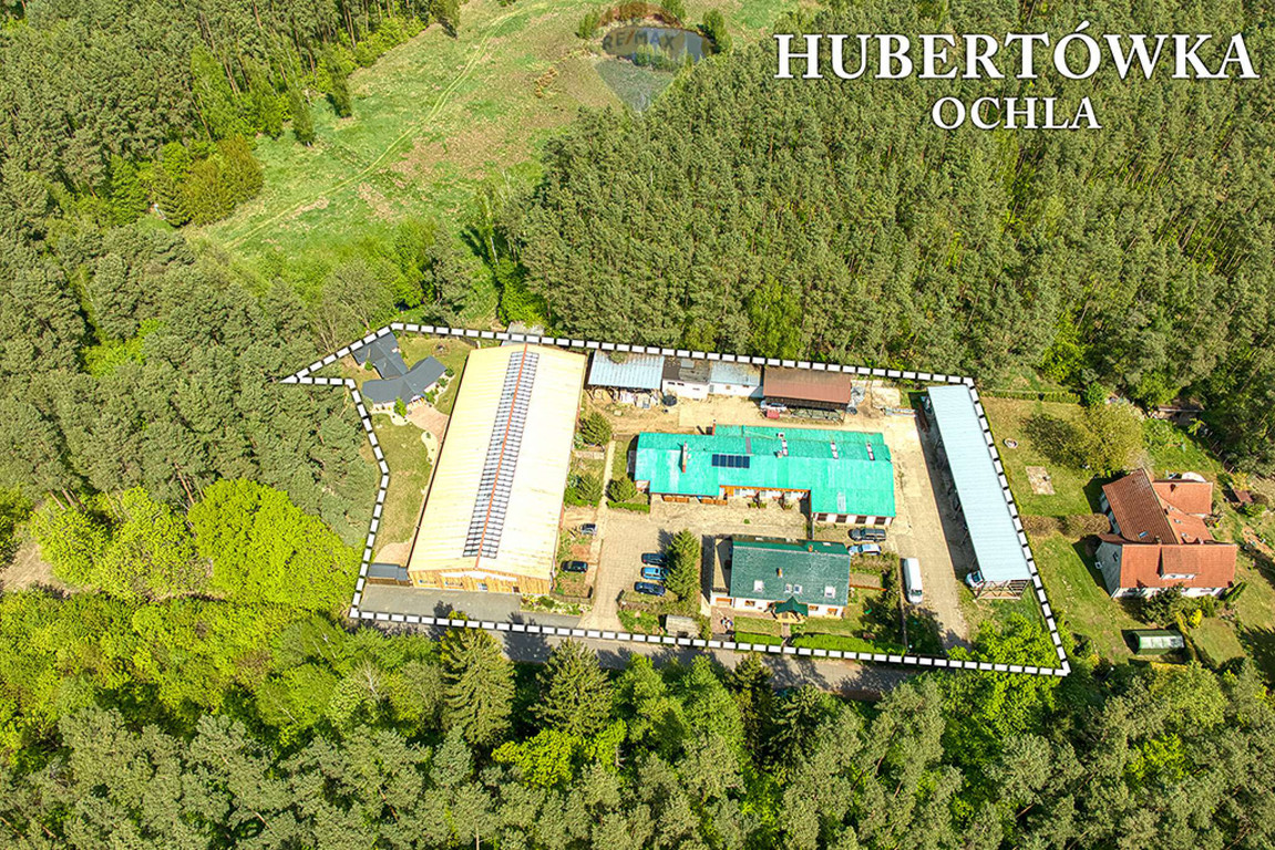 Building for sale, lubuskie, Ochla-św. Huberta (Zielona Gora, Poland)