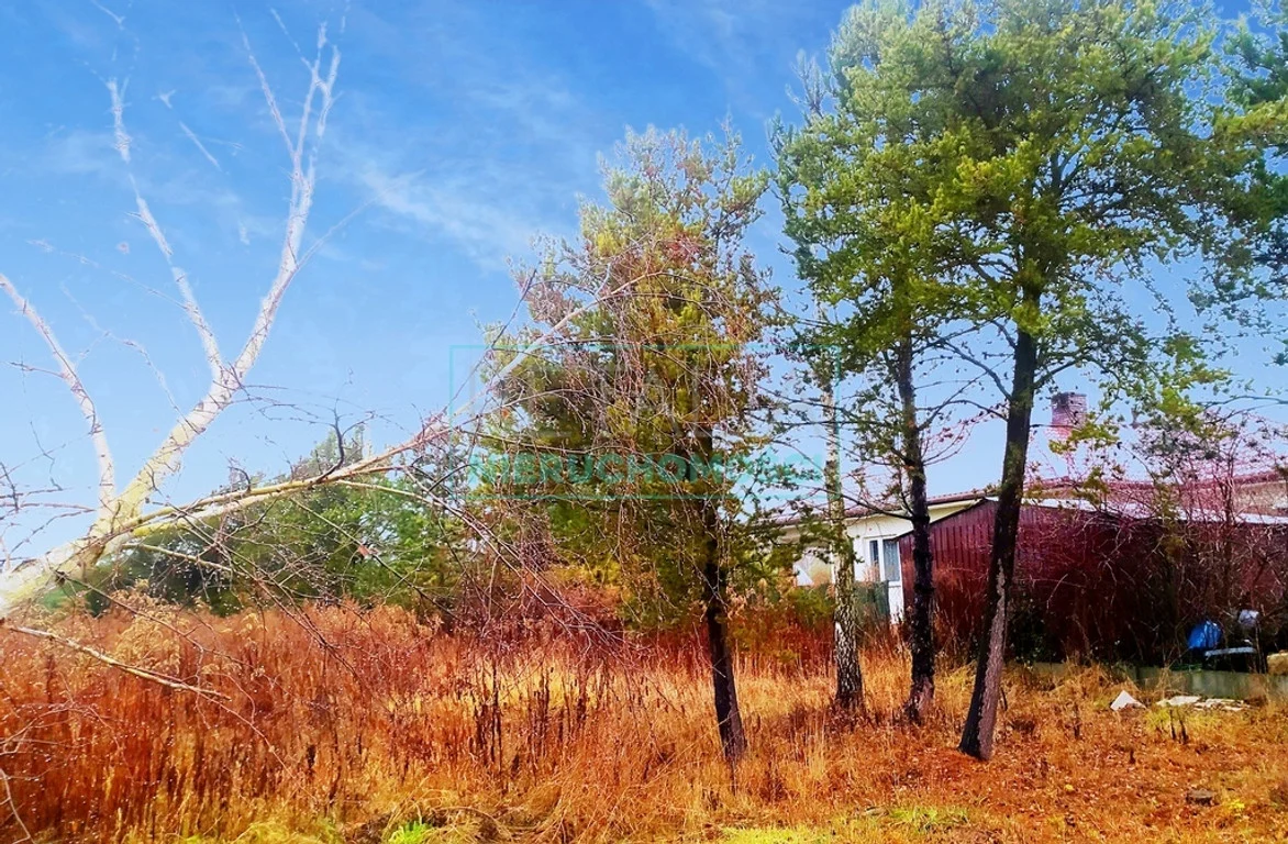 Land Plot for sale, mazowieckie grodziski (Żabia Wola, Poland)