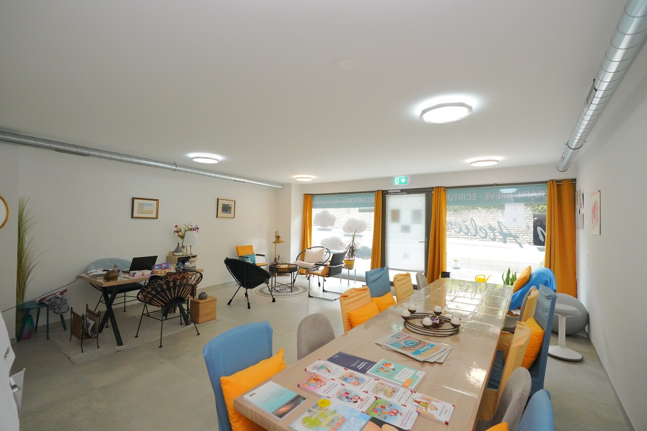 COMMERCIAL AREA IN SIERRE