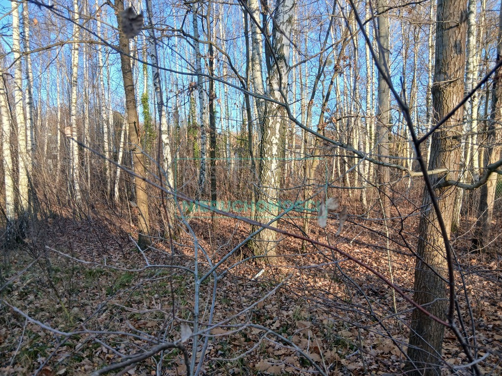 Land Plot for sale, mazowieckie pruszkowski (Brwinów, Poland)