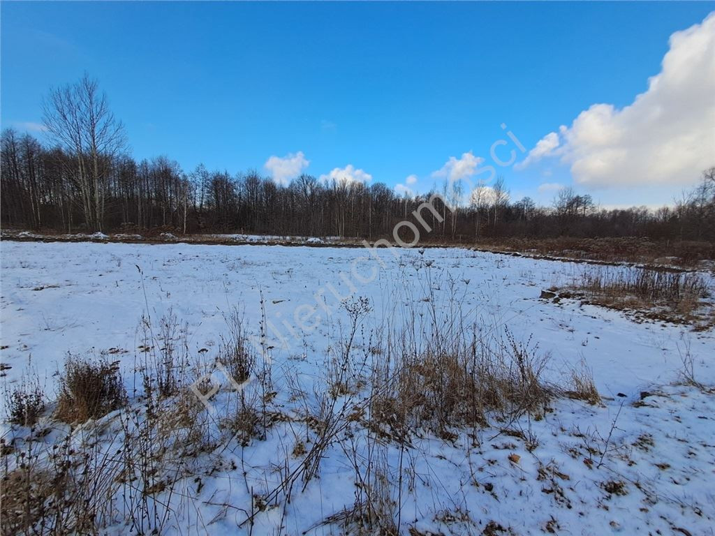 Land Plot for sale, mazowieckie grodziski (Jaktorów, Poland)