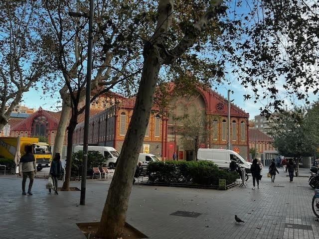 Beautiful studio in Viladomat street next to Manso street