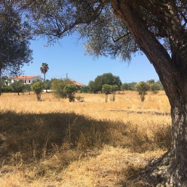 Rustic Land in Vale Silveira, Boliqueime