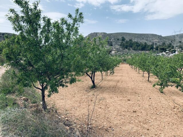 Land Plot for sale in La Romana, Spain