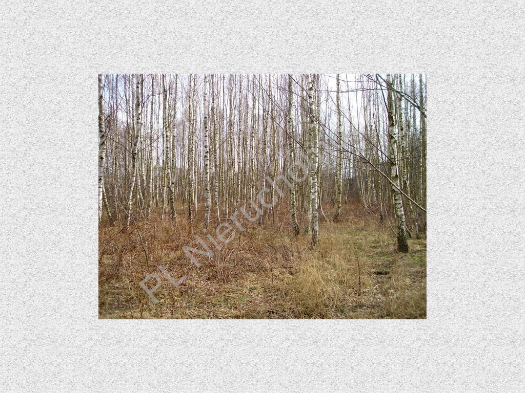 Land Plot for sale, mazowieckie grodziski (Grodzisk Mazowiecki, Poland)