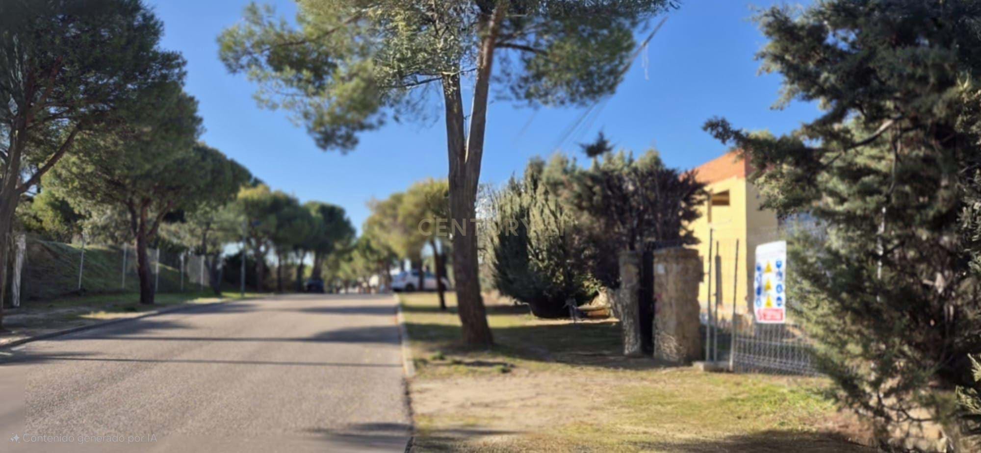 Plot for Sale in Parque Boadilla