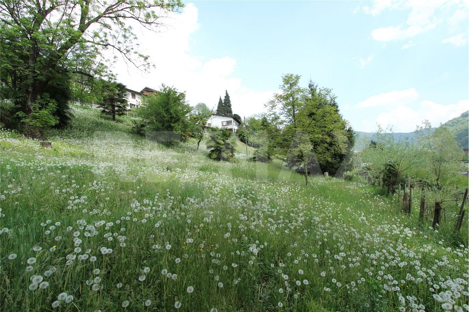 Interessantes Baugrundstück mit grossem Potenzial
